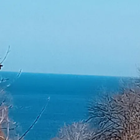 морски диамант